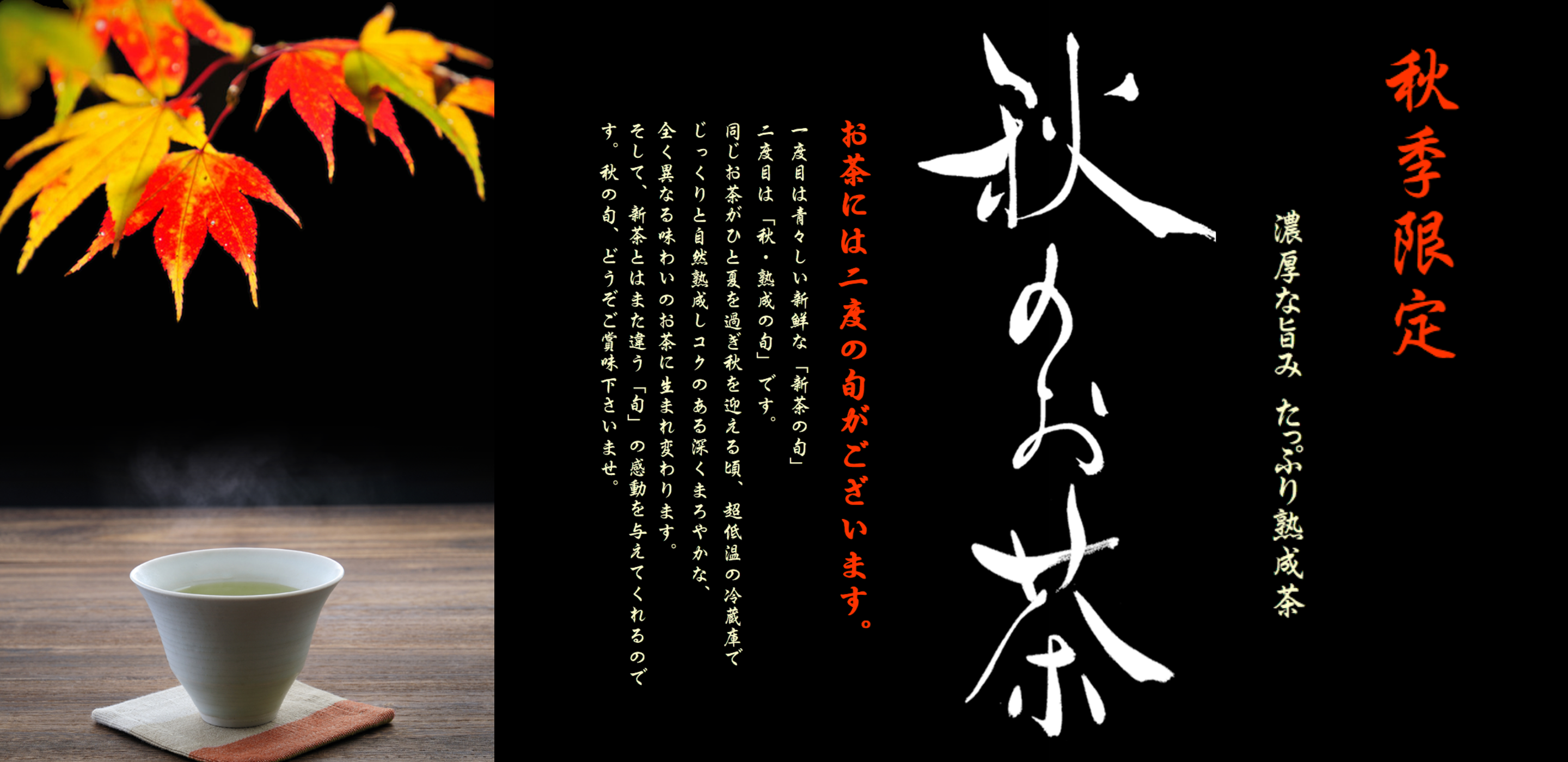 この冬のイチ推し！太陽